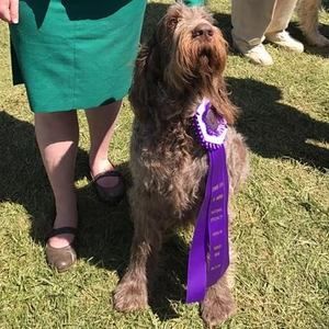 Meet your Posher, Shannon